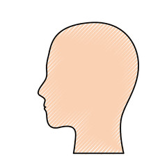 human head people model face profile avatar vector illustration