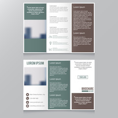 Tri-fold Brochure and Catalog Vector Design Template