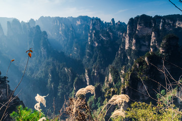 Avatar mountains in chinese national park Zhangjiajie