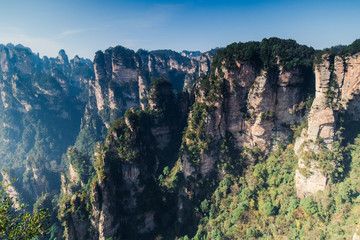Fototapeta premium Avatar mountains in chinese national park Zhangjiajie
