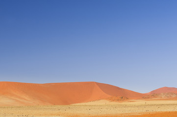 Fototapeta na wymiar Dunes in the Namib Desert / Dunes in the Namib Desert to the horizon, Sossusvlei, Namibia, Africa.