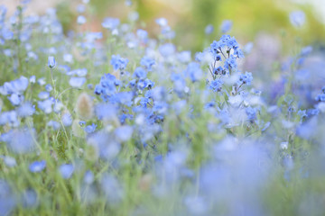 緑・グリーン・花