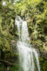 Nature and Waterfall