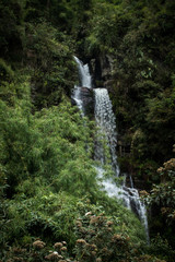 Obraz premium Waterfall