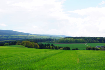 Landschaft am Idarwald im Frühling
