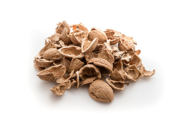 Pile of shells nutshells