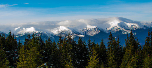 Naklejka premium Foggy mountains. Winter in mountains. Winter in Ukraine. Winter landscape.