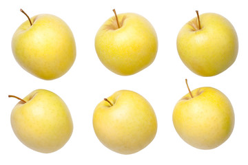 Golden Delicious Apples Isolated on White Background