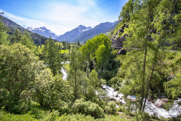 Typical alpine landscape in Spring