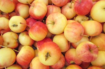 Wild apples background image.