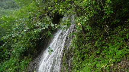 Fototapeta na wymiar Waterfall in green forest in jungle. Beautiful waterfall in the mountains. Tropical rain forest with waterfall. Philippines, Cebu. Travel concept.