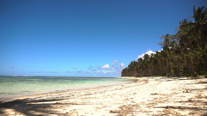 Beautiful tropical island with sand beach, palm trees.Seascape ocean and beautiful beach paradise, Siargao, Philippines. Tropical landscape: beach with palm trees. Travel concept.