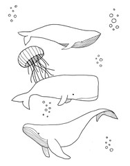 Naklejka premium ilustracja wieloryba