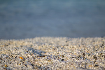 Le Saline beach in Sardinia