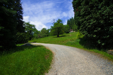 a path immersed in the greenery of the beautiful Burcina Park in Biella, Piedmont, Italy