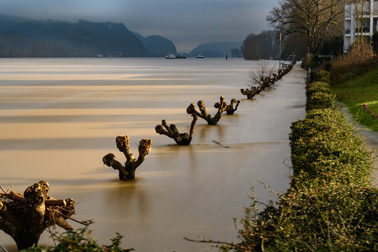 Hochwasser am Rhein