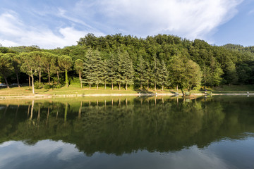 Reflection on the lake