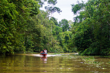 The boat sails along the Kinabatangan River surrounded by tropical forests, Sabah, Borneo. Malaysia. - obrazy, fototapety, plakaty