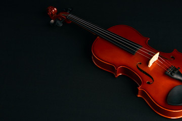 Brown classical violin.
