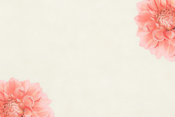 Soft Background with Flower Borders