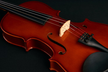 Fototapeta na wymiar Classical brown violin