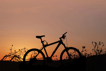Fototapeta na wymiar Bike and plants silhouette on a orange sunset background