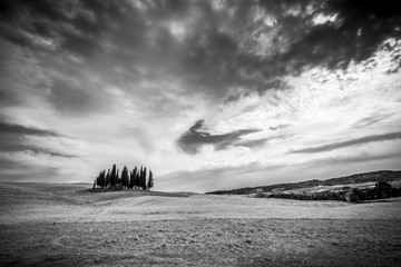 Cipressi di San Quirico © photonik87
