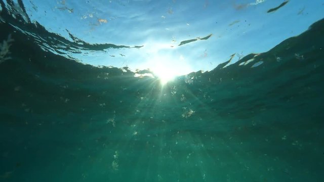 UNDERWATER SLOW MOTION: Aquatic world glistening from the sunrays penetrating the clear ocean surface revealing floating algae. Deep blue colored sea at Canary Islands. Calming subaquatic scenery.