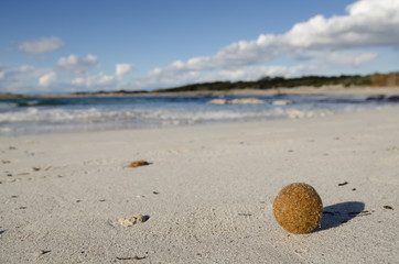 Sunny sand beach on Mallorca, Spain