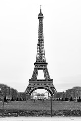 Fototapeta na wymiar The Eiffel Tower in Paris, France - Black and White