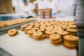 Cookie factory, food industry. Fabrication packing. Cookie production.