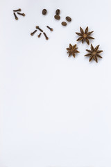 Spices: cloves, star anise and coffee beans on a white background. Top view