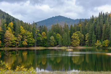 View of Synevir high-altitude lake by autumn day. The leaf fall forest is reflected in water of lake.