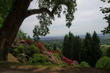 panoramic point from which to admire the blooming of rhododendrons of the Burcina park in Biella, Italy