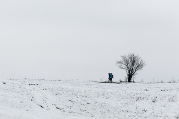 Winter meadow with snow and people during winter. Slovakia