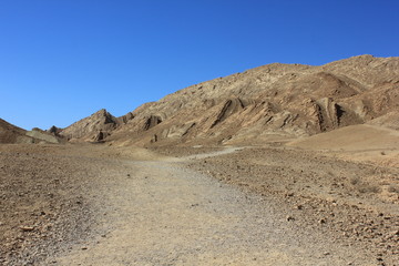 Ammonites Wall  Ramon Makhtesh Krater Israel