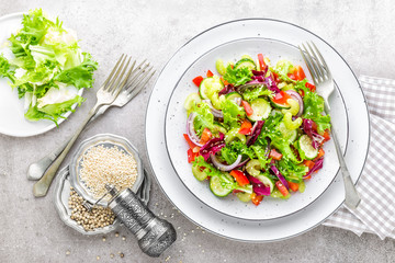 Salad of fresh cucumber, celery, sweet pepper, frize lettuce, red onion and sesame seeds with olive oil. Healthy vegetarian, vegan food. Italian cuisine