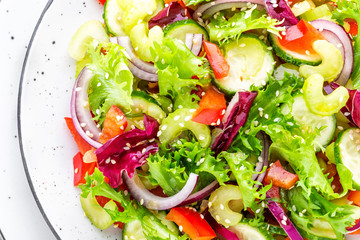 Salad of fresh cucumber, celery, sweet pepper, frize lettuce, red onion and sesame seeds with olive oil. Healthy vegetarian, vegan food. Italian cuisine