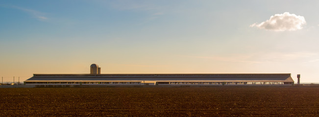 Cowsheds, farm and silo with a field in the foreground. Southern Russia. The Volga-Don