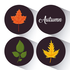 autumn season design