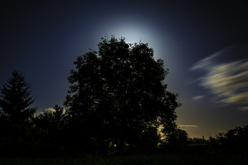 Noc w ogródku  © zielonyfotosamouk