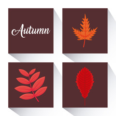 Fototapeta na wymiar autumn season design