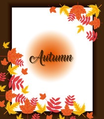 autumn season design