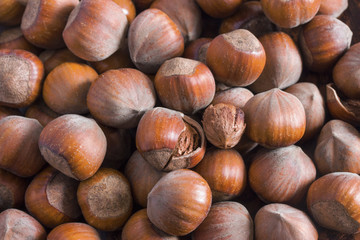 many large large hazelnuts are piled over
