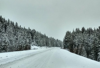 Jasper National Park in WInter