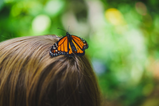 Monarch Butterfly On Child's Head