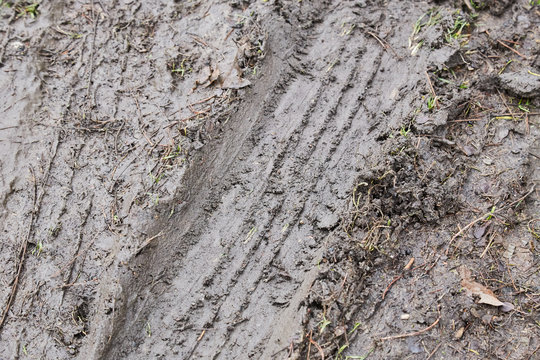 car wheel trace in mud