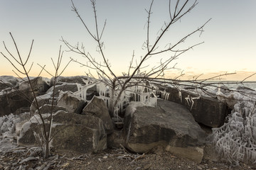 Rocks and tree covered in ice on rocky beach
