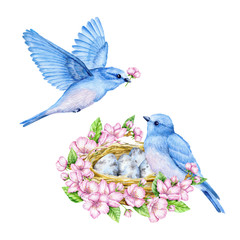 Cute little blue birds with nest and blue eggs. Watercolor illustration. Cute animals and birds. Spring symbol. Happy Easter. Blue luck bird