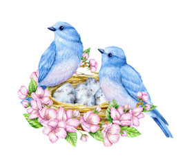 Cute little blue birds with nest and blue eggs. Watercolor illustration. Cute animals and birds. Spring symbol. Happy Easter. Blue luck bird